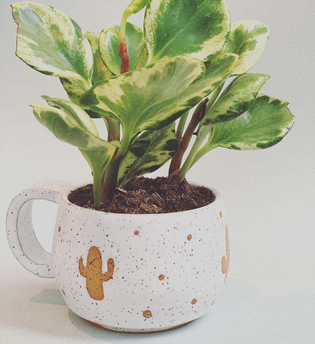 Pottery