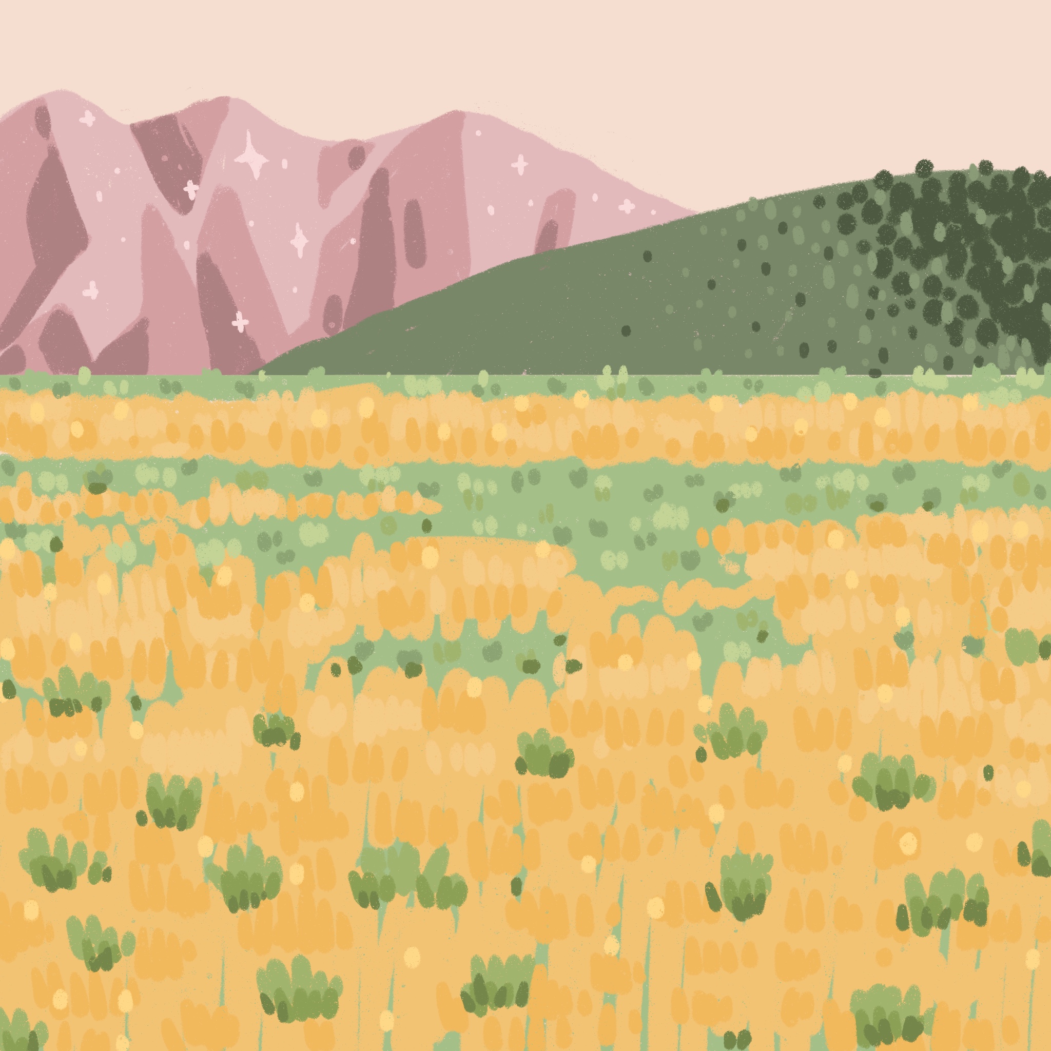 Digital Illustration